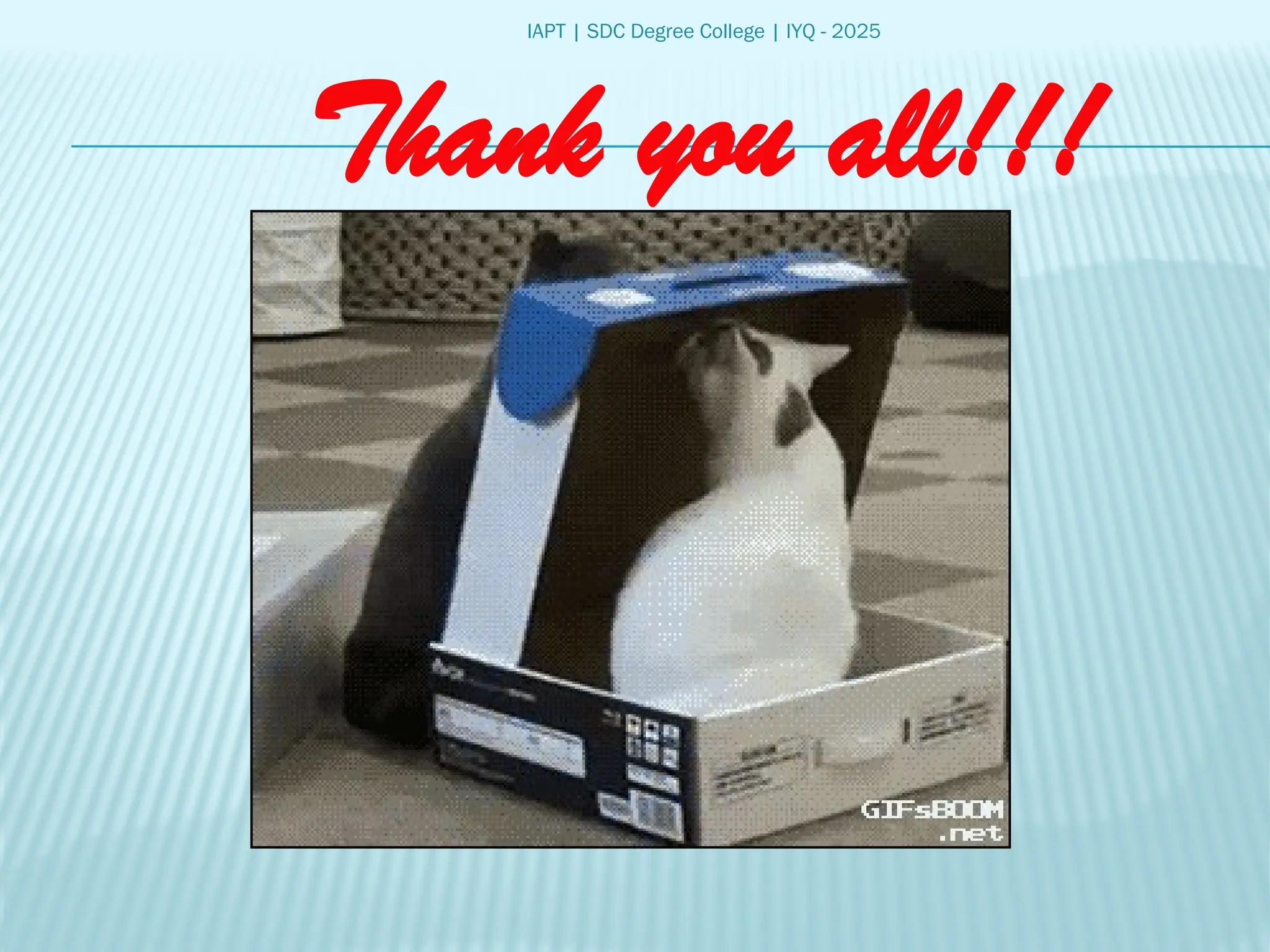 IAPT | SDC Degree College | IYQ - 2025
Thank you all!!!
 