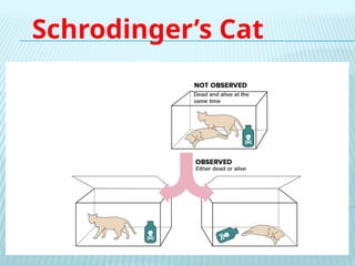Schrodinger’s Cat
 
