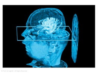 Surface studies with a scanning
tunnelling microscope
52
 
