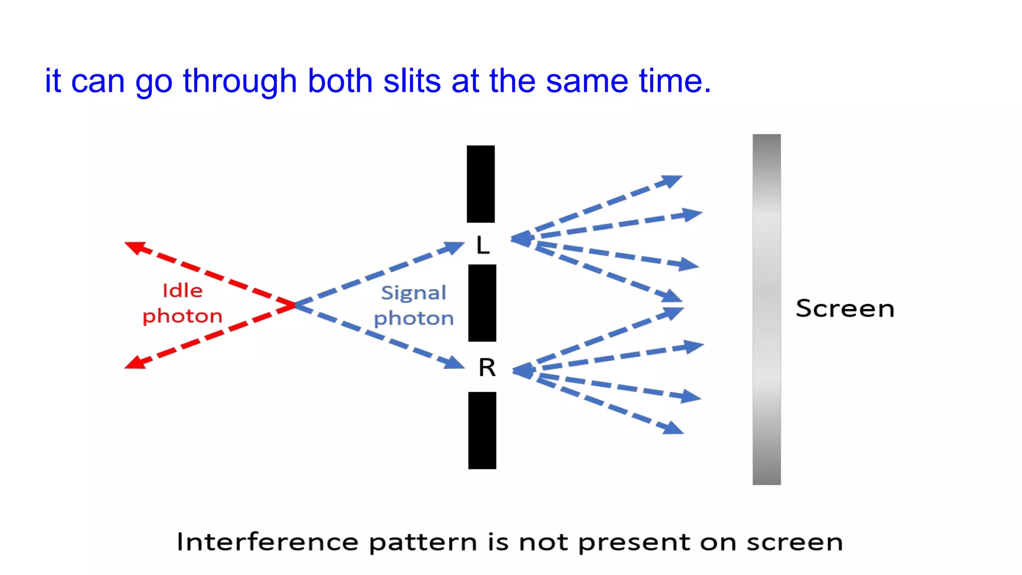 it can go through both slits at the same time.
 