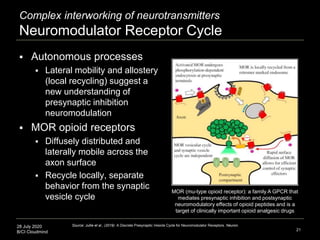 28 July 2020
B/CI Cloudmind
Complex interworking of neurotransmitters
Neuromodulator Receptor Cycle
 Autonomous processes...