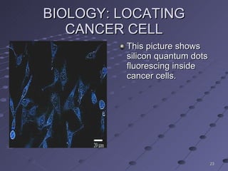 BIOLOGY: LOCATING CANCER CELL This picture shows silicon quantum dots fluorescing inside cancer cells. 