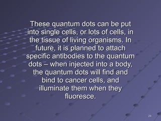 . These quantum dots can be put into single cells, or lots of cells, in the tissue of living organisms. In future, it is planned to attach specific antibodies to the quantum dots – when injected into a body, the quantum dots will find and bind to cancer cells, and illuminate them when they fluoresce. 