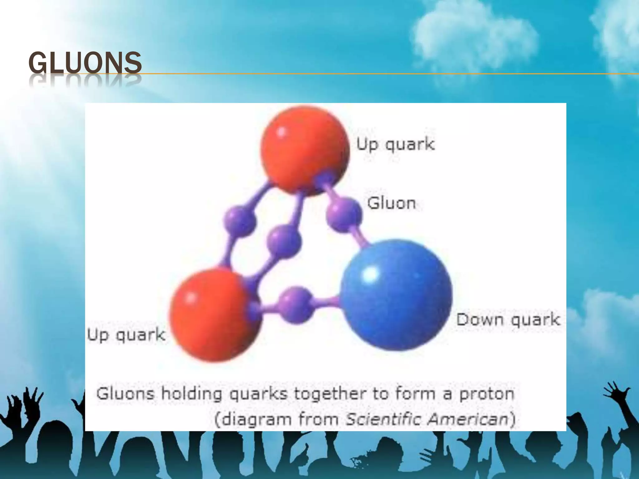 GLUONS
 
