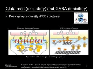 4 Sep 2022
Quantum Information
Glutamate (excitatory) and GABA (inhibitory)
 Post-synaptic density (PSD) proteins
79
Sour...