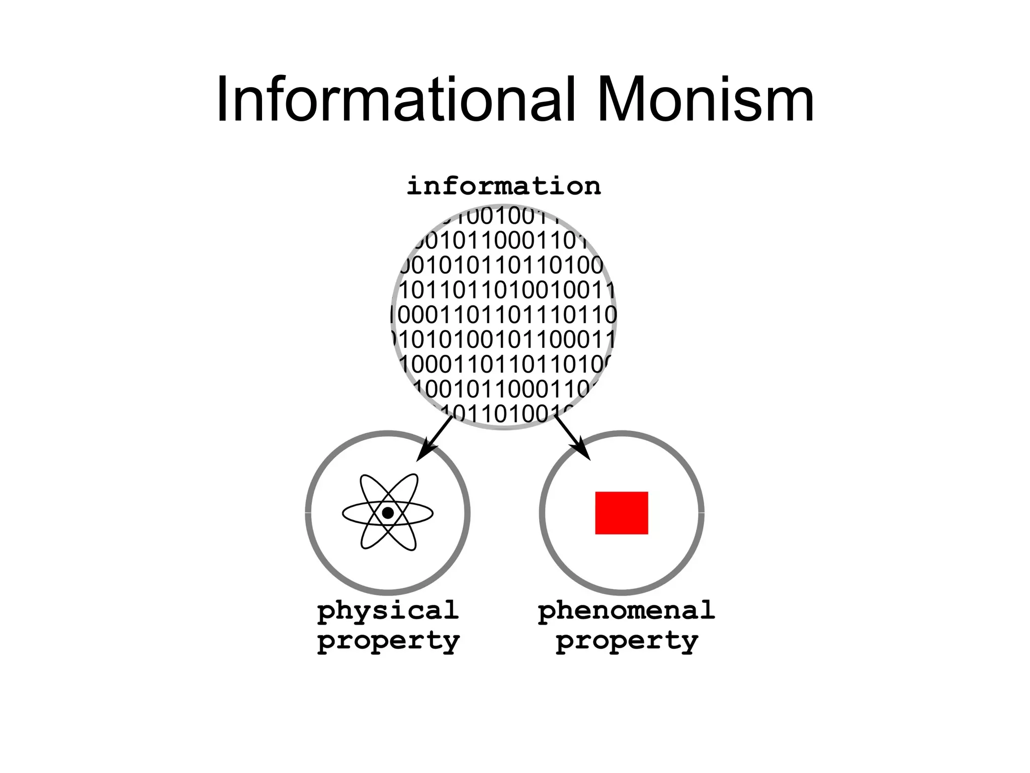 Informational Monism 
