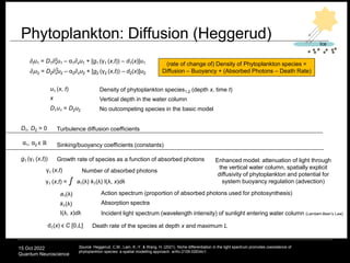 Lambert Diffusion Quantum Information Science and Quantum Neuroscience.ppt