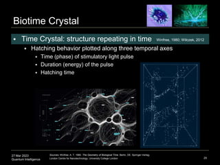 quantum-intelligence-responsible-human-ai-entities-ppt