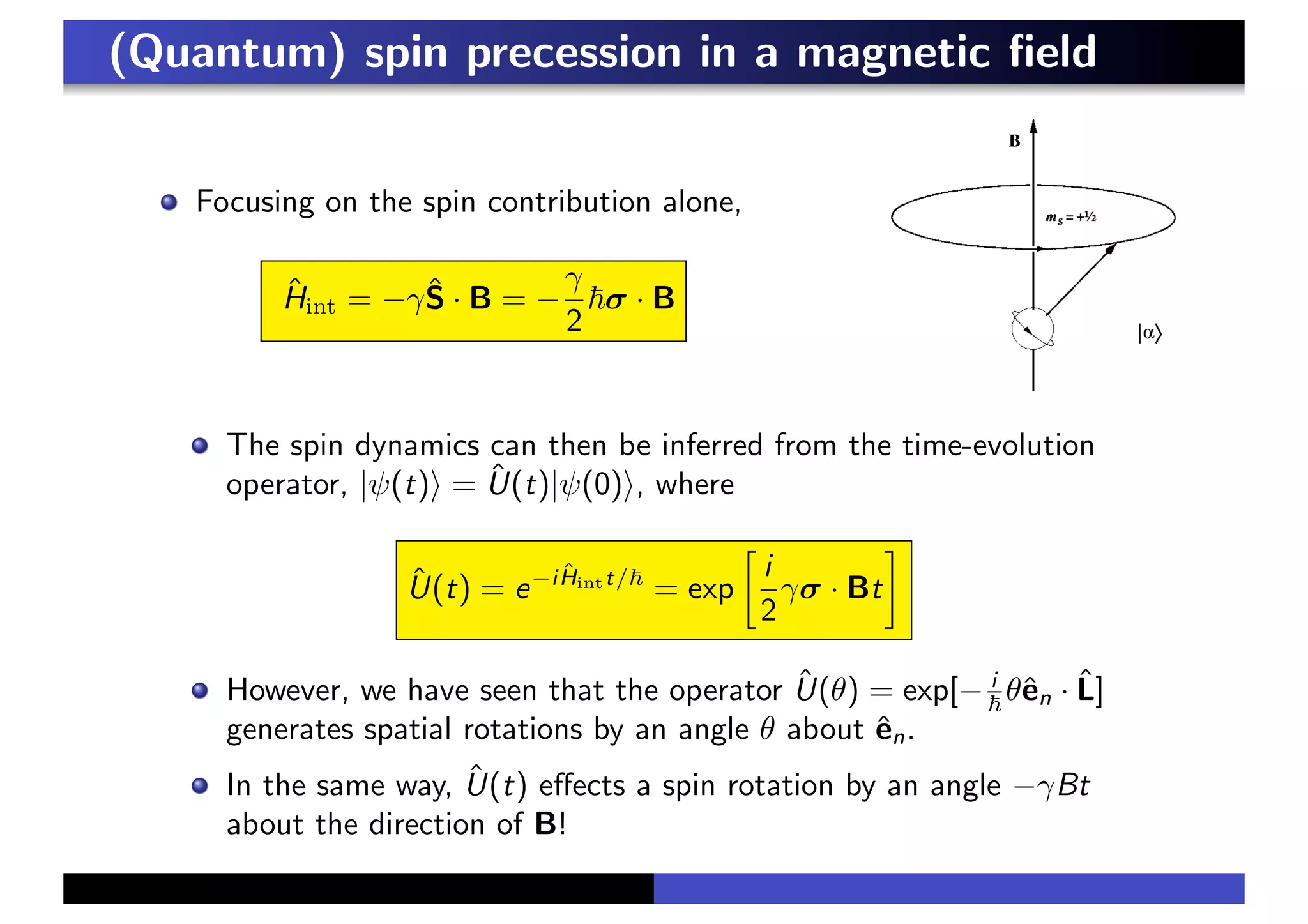 (Quantum) spin precession in a magnetic field
Focusing on the spin contribution alone,
Ĥint = −γŜ · B = −
γ
2
!σ · B
The spin dynamics can then be inferred from the time-evolution
operator, |ψ(t)& = Û(t)|ψ(0)&, where
Û(t) = e−iĤintt/!
= exp
(
i
2
γσ · Bt
)
However, we have seen that the operator Û(θ) = exp[− i
! θên · L̂]
generates spatial rotations by an angle θ about ên.
In the same way, Û(t) effects a spin rotation by an angle −γBt
about the direction of B!
 