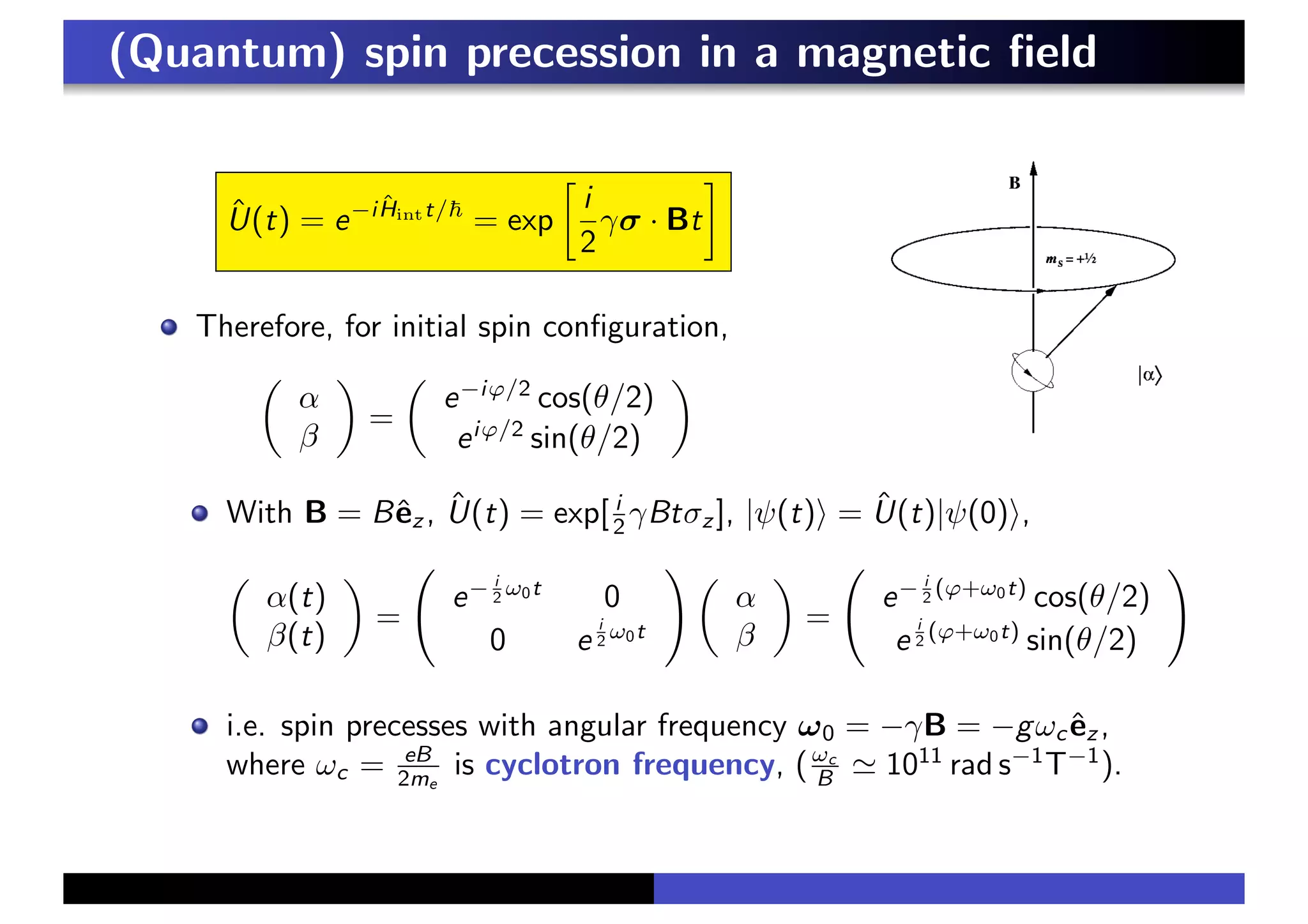 (Quantum) spin precession in a magnetic field
Û(t) = e−iĤintt/!
= exp
(
i
2
γσ · Bt
)
Therefore, for initial spin configuration,
!
α
β
"
=
!
e−iϕ/2
cos(θ/2)
eiϕ/2
sin(θ/2)
"
With B = Bêz , Û(t) = exp[ i
2 γBtσz ], |ψ(t)& = Û(t)|ψ(0)&,
!
α(t)
β(t)
"
=
*
e− i
2 ω0t
0
0 e
i
2 ω0t
+ !
α
β
"
=
*
e− i
2 (ϕ+ω0t)
cos(θ/2)
e
i
2 (ϕ+ω0t)
sin(θ/2)
+
i.e. spin precesses with angular frequency ω0 = −γB = −gωc êz ,
where ωc = eB
2me
is cyclotron frequency, (ωc
B % 1011
rad s−1
T−1
).
 