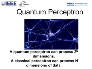 Quantum nano computing jul 23_2021 | PPTX