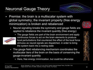 24 Aug 2021
Quantum Neuroscience
Neuronal Gauge Theory
 Premise: the brain is a multiscalar system with
global symmetry; ...
