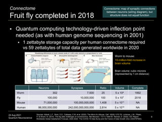 24 Aug 2021
Quantum Neuroscience 6
Connectome
Fruit fly completed in 2018
 Worm to mouse:
 10-million-fold increase in
b...