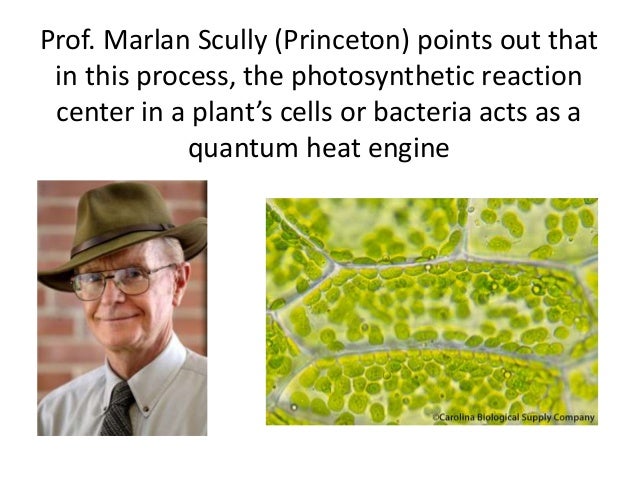 Quantum Nature Of Light Is Supported By Quantum Nature Of Light Is Supported By