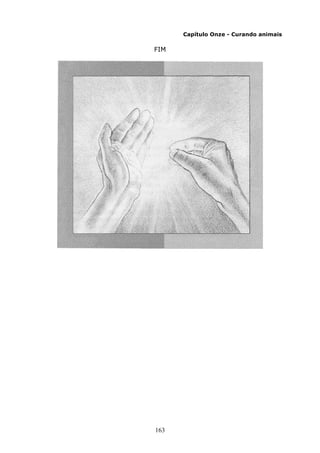 163
Capítulo Onze - Curando animais
FIM
 