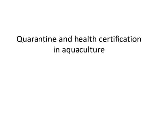 Quarantine and health certification
in aquaculture
 