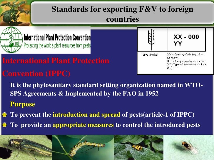 Quarantine protocols for export of fruit and vegetables