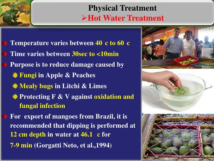 Quarantine protocols for export of fruit and vegetables