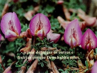 - jejuar de julgar os outros e festejar porque Deus habita neles. 