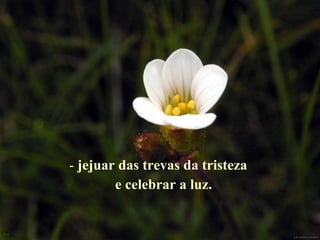 jejuar das trevas da tristeza  e celebrar a luz.   