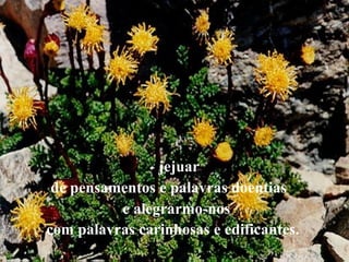 jejuar de pensamentos e palavras doentias  e alegrarmo-nos com palavras carinhosas e edificantes.   