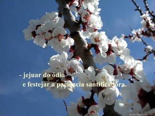 jejuar do ódio  e festejar a paciência santificadora.   