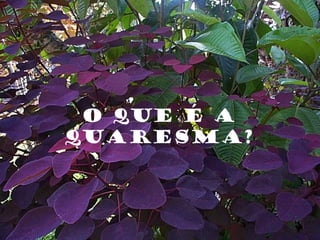 O que é a Quaresma? 