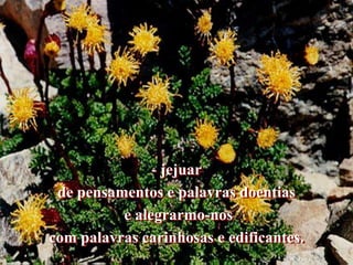 jejuarde pensamentos e palavras doentias    e alegrarmo-noscom palavras carinhosas e edificantes.