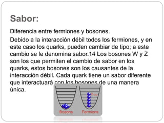 Quark masculino largo cheap