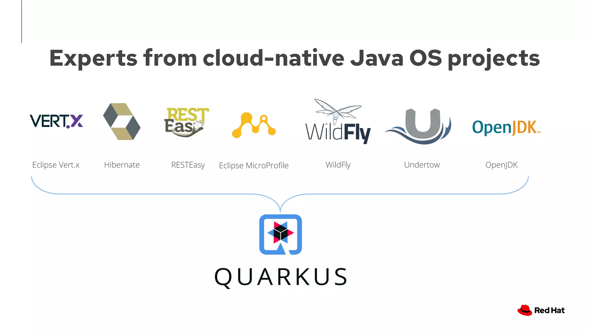 Experts from cloud-native Java OS projects
Eclipse Vert.x Hibernate Eclipse MicroProﬁle
RESTEasy WildFly Undertow OpenJDK
 