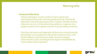 Mamografia
Anatomia Mamária
A face profunda é circular e está na maior parte (2/3)
relacionada à fáscia do músculo grande peitoral, cuja borda
lateral da mama ultrapassa para fora. A parte restante da face
relaciona-se com o músculo serratus anterior, e apenas uma
pequena parte com a aponevrose do músculo oblíquo externo.
Esta face da mama está separada da fáscia do músculo grande
peitoral por uma camada fina de tecido conjuntivo laxo, com
tecido adiposo, conhecida por bolsa serosa ou espaço
retromamário. Esta camada permite alguma mobilidade da
mama sobre a fáscia peitoral.
 