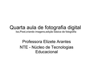 Quarta aula de fotografia digital  Iso,Pixel,criando imagens,edição básica de fotografia Professora Elizete Arantes NTE - Núcleo de Tecnologias Educacional 