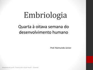 Embriologia
Adaptado dos profs. Thiemy Loli e Victor Husch - Unioeste
Quarta à oitava semana do
desenvolvimento humano
Prof. Raimundo Júnior
 