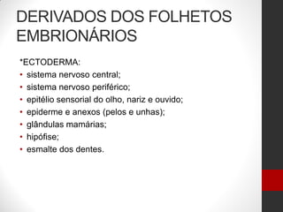 DERIVADOS DOS FOLHETOS
EMBRIONÁRIOS
*ECTODERMA:
• sistema nervoso central;
• sistema nervoso periférico;
• epitélio sensorial do olho, nariz e ouvido;
• epiderme e anexos (pelos e unhas);
• glândulas mamárias;
• hipófise;
• esmalte dos dentes.
 