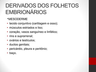 DERIVADOS DOS FOLHETOS
EMBRIONÁRIOS
*MESODERME
• tecido conjuntivo (cartilagem e osso);
• músculos estriados e liso;
• coração, vasos sanguíneo e linfático;
• rins e suprarrenal;
• ovários e testículos;
• ductos genitais;
• pericárdio, pleura e peritônio;
• baço.
 