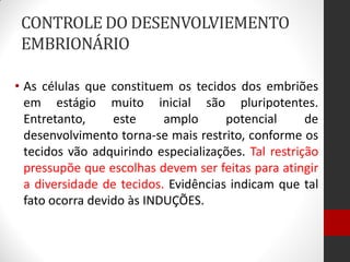 CONTROLE DO DESENVOLVIEMENTO
EMBRIONÁRIO
• As células que constituem os tecidos dos embriões
em estágio muito inicial são pluripotentes.
Entretanto, este amplo potencial de
desenvolvimento torna-se mais restrito, conforme os
tecidos vão adquirindo especializações. Tal restrição
pressupõe que escolhas devem ser feitas para atingir
a diversidade de tecidos. Evidências indicam que tal
fato ocorra devido às INDUÇÕES.
 