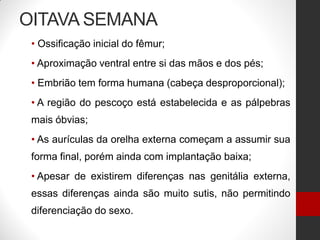 OITAVA SEMANA
• Ossificação inicial do fêmur;
• Aproximação ventral entre si das mãos e dos pés;
• Embrião tem forma humana (cabeça desproporcional);
• A região do pescoço está estabelecida e as pálpebras
mais óbvias;
• As aurículas da orelha externa começam a assumir sua
forma final, porém ainda com implantação baixa;
• Apesar de existirem diferenças nas genitália externa,
essas diferenças ainda são muito sutis, não permitindo
diferenciação do sexo.
 