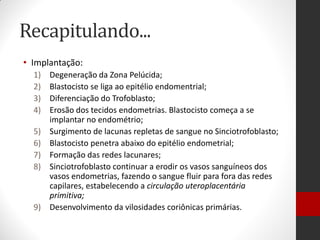 Recapitulando...
• Implantação:
1) Degeneração da Zona Pelúcida;
2) Blastocisto se liga ao epitélio endomentrial;
3) Diferenciação do Trofoblasto;
4) Erosão dos tecidos endometrias. Blastocisto começa a se
implantar no endométrio;
5) Surgimento de lacunas repletas de sangue no Sinciotrofoblasto;
6) Blastocisto penetra abaixo do epitélio endometrial;
7) Formação das redes lacunares;
8) Sinciotrofoblasto continuar a erodir os vasos sanguíneos dos
vasos endometrias, fazendo o sangue fluir para fora das redes
capilares, estabelecendo a circulação uteroplacentária
primitiva;
9) Desenvolvimento da vilosidades coriônicas primárias.
 