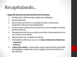 Recapitulando...
• Segunda Semana do Desenvolvimento Humano:
1) Proliferação e diferenciação rápida do trofoblasto;
2) Reação decidual;
3) Saco vitelino primário e o mesoderma extra-embrionário
(superfície interna do citotrofoblasto);
4) Celoma extra-embrionário (transforma-se em cavidade coriônica
posteriormente);
5) Desaparecimento do saco vitelino primário. Desenvolvimento do
saco vitelino secundário;
6) Aparecimento da cavidade aminiótica;
7) Embrioblasto diferencia-se em um disco embrionário bilaminar:
• Hipoblasto;
• Epiblasto;
8) A placa pré-cordal se desenvolve como espessamento localizado
do hipoblasto, indicando a futura região cranial do embrião e o
sítio da boca.
 