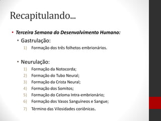 Recapitulando...
• Terceira Semana do Desenvolvimento Humano:
• Gastrulação:
1) Formação dos três folhetos embrionários.
• Neurulação:
1) Formação da Notocorda;
2) Formação do Tubo Neural;
3) Formação da Crista Neural;
4) Formação dos Somitos;
5) Formação do Celoma Intra-embrionário;
6) Formação dos Vasos Sanguíneos e Sangue;
7) Término das Vilosidades coriônicas.
 
