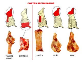 CORTES SECUNDÁRIOS
TRASEIRO
SERROTE
DIANTEIRO BISTÉCA PILÃO BOLA
 