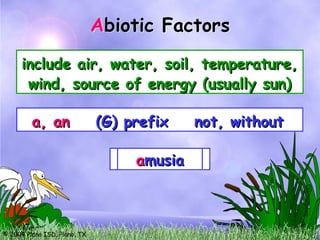 © 2004 Plano ISD, Plano, TX
Abiotic Factors
include air, water, soil, temperature,
include air, water, soil, temperature,
wind, source of energy (usually sun)
wind, source of energy (usually sun)
A
a, an
a, an (G) prefix not, without
(G) prefix not, without
a
atoxic
toxic
a
amoral
moral
a
abiotic
biotic
a
amusia
musia
 