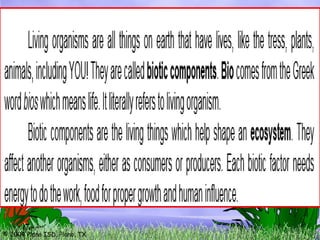 © 2004 Plano ISD, Plano, TX
 