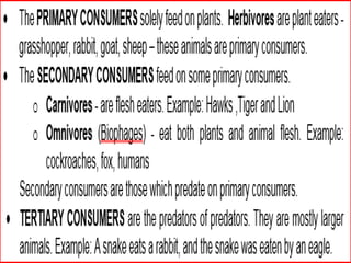 © 2004 Plano ISD, Plano, TX
 