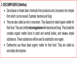 © 2004 Plano ISD, Plano, TX
 