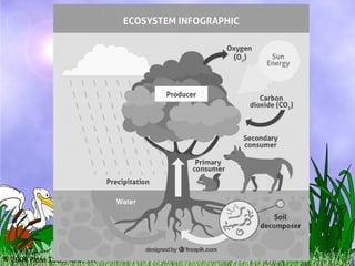 © 2004 Plano ISD, Plano, TX
 