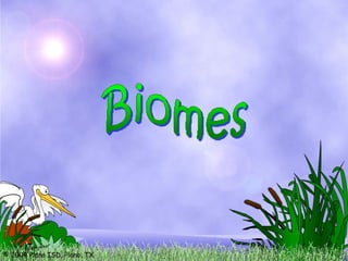 © 2004 Plano ISD, Plano, TX
 