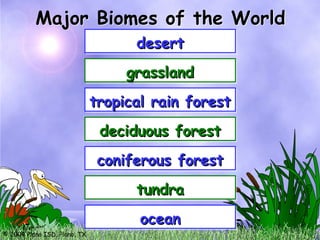 © 2004 Plano ISD, Plano, TX
desert
desert
grassland
grassland
tropical rain forest
tropical rain forest
deciduous forest
deciduous forest
coniferous forest
coniferous forest
tundra
tundra
Major Biomes of the World
ocean
ocean
 