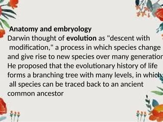 Comprehensive Overview of Evolution and Geologic Time in Biology | PPTX