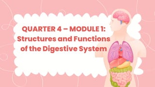 QUARTER 4 – MODULE 1:
Structures and Functions
of the Digestive System
 